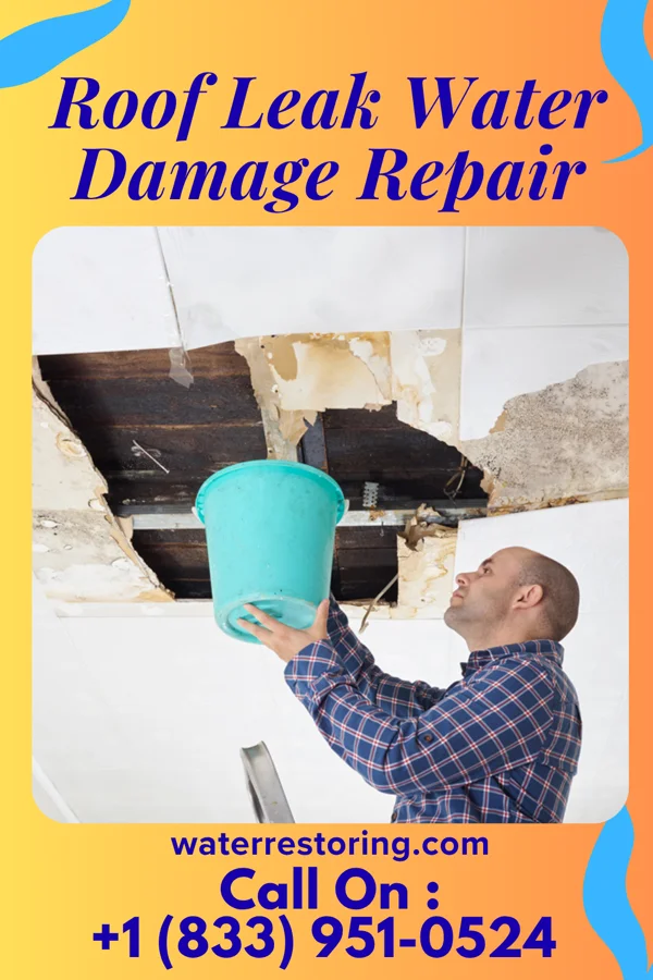 Roof Leak Water Damage Repair in Rush Springs, OK